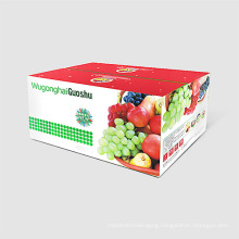 High Quality Paper Packaging Fruit Box